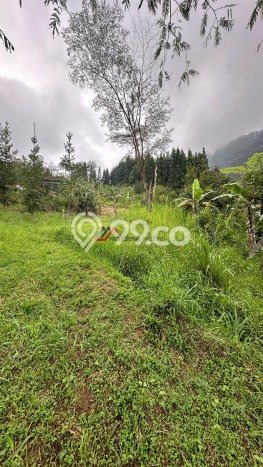 Tanah Strategis Dijual di Megamendung Bogor 55000m2 Tanah Strategis Dijual di Megamendung Bogor 55000m2