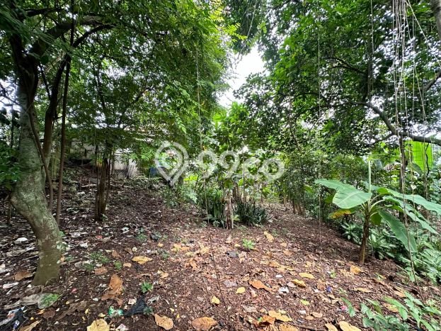 Lahan Kosong Dijual di Jakarta Selatan dengan Area 800m2 Lahan Kosong Dijual di Jakarta Selatan dengan Area 800m2