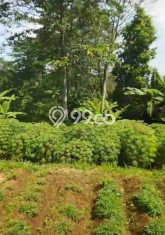 Tanah Kavling Dijual di Bogor dengan Spesifikasi 55000m2 Tanah Kavling Dijual di Bogor dengan Spesifikasi 55000m2