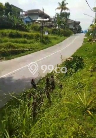 Tanah Kavling Dijual di Bogor dengan Spesifikasi 55000m2 Tanah Kavling Dijual di Bogor dengan Spesifikasi 55000m2