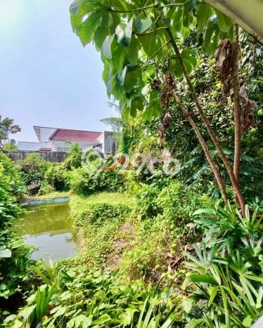 Rumah Elit LB 400m2 Siap Huni Desain Elegan di Kemang, Jakarta Selatan Rumah Elit LB 400m2 Siap Huni Desain Elegan di Kemang, Jakarta Selatan
