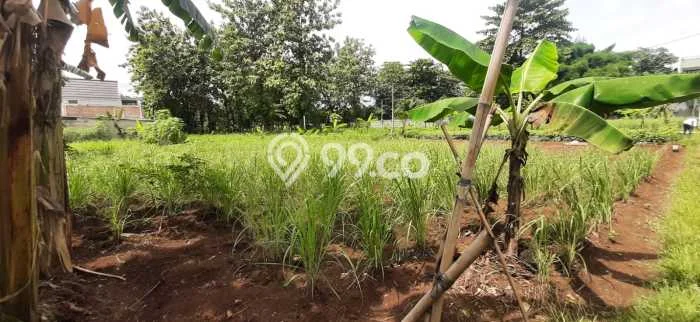 Kavling Tanah di Cimanggis Dijual Luas 600m2 Legalitas SHM Kavling Tanah di Cimanggis Dijual Luas 600m2 Legalitas SHM
