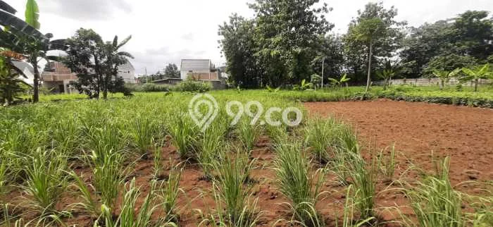 Kavling Tanah di Cimanggis Dijual Luas 600m2 Legalitas SHM Kavling Tanah di Cimanggis Dijual Luas 600m2 Legalitas SHM