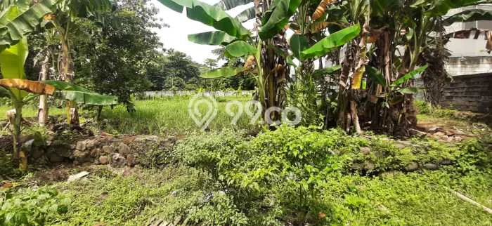Kavling Tanah di Cimanggis Dijual Luas 600m2 Legalitas SHM Kavling Tanah di Cimanggis Dijual Luas 600m2 Legalitas SHM