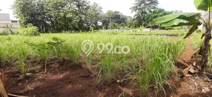 Kavling Tanah di Cimanggis Dijual Luas 600m2 Legalitas SHM Kavling Tanah di Cimanggis Dijual Luas 600m2 Legalitas SHM