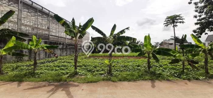 Kavling Tanah di Cimanggis Dijual Luas 600m2 Legalitas SHM Kavling Tanah di Cimanggis Dijual Luas 600m2 Legalitas SHM