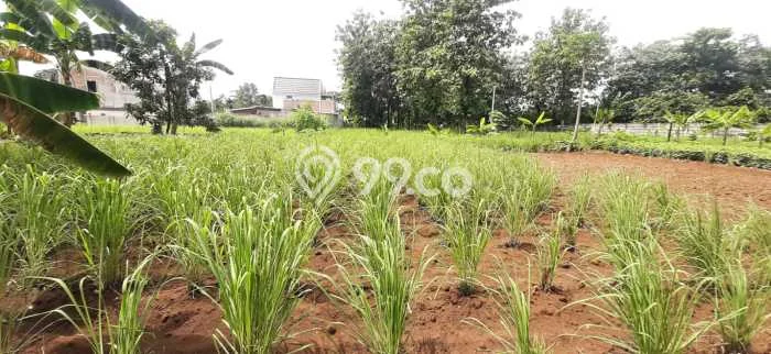 Kavling Tanah di Cimanggis Dijual Luas 600m2 Legalitas SHM Kavling Tanah di Cimanggis Dijual Luas 600m2 Legalitas SHM