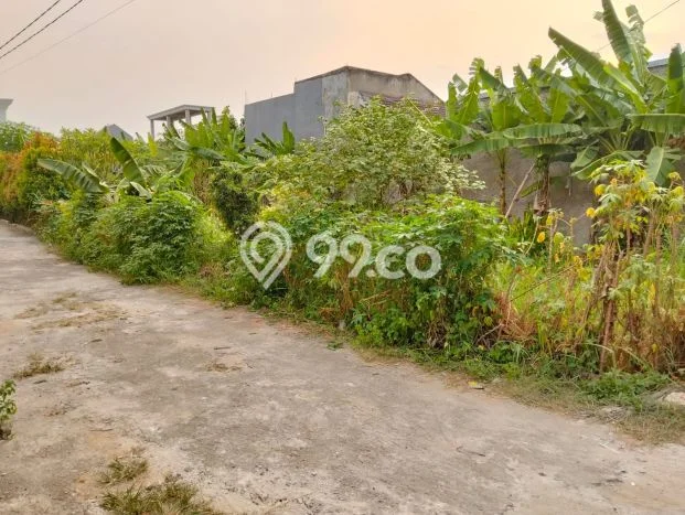 Tanah Kavling Dijual di Bintaro, Tangerang Selatan dengan Luas Tanah 100m2 Tanah Kavling Dijual di Bintaro, Tangerang Selatan dengan Luas Tanah 100m2