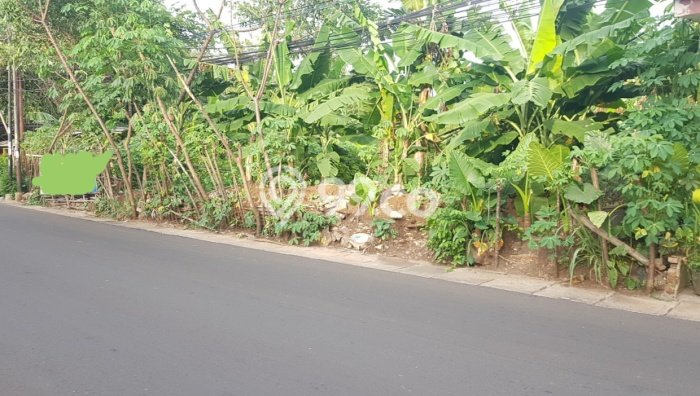 Tanah Dijual Lokasi Serpong, Tangerang Selatan dengan Luas Tanah 4000m2 dan Status SHM Tanah Dijual Lokasi Serpong, Tangerang Selatan dengan Luas Tanah 4000m2 dan Status SHM