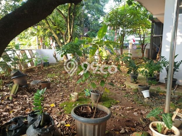 Rumah Elit Modern Tanpa Renovasi di Bintaro Tangerang Selatan Rumah Elit Modern Tanpa Renovasi di Bintaro Tangerang Selatan