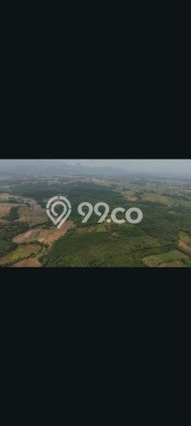 Tanah Dijual Lokasi Tegalwaru, Karawang dengan Luas Tanah 6000m2 dan Status SHM Tanah Dijual Lokasi Tegalwaru, Karawang dengan Luas Tanah 6000m2 dan Status SHM