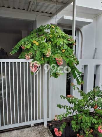 For Sale Hunian Rumah Terawat 4 Kamar di Bintaro, Tangerang Selatan For Sale Hunian Rumah Terawat 4 Kamar di Bintaro, Tangerang Selatan