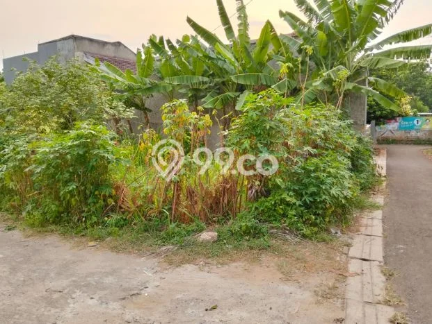 Tanah Kavling Dijual di Bintaro, Tangerang Selatan dengan Luas Tanah 100m2 Tanah Kavling Dijual di Bintaro, Tangerang Selatan dengan Luas Tanah 100m2