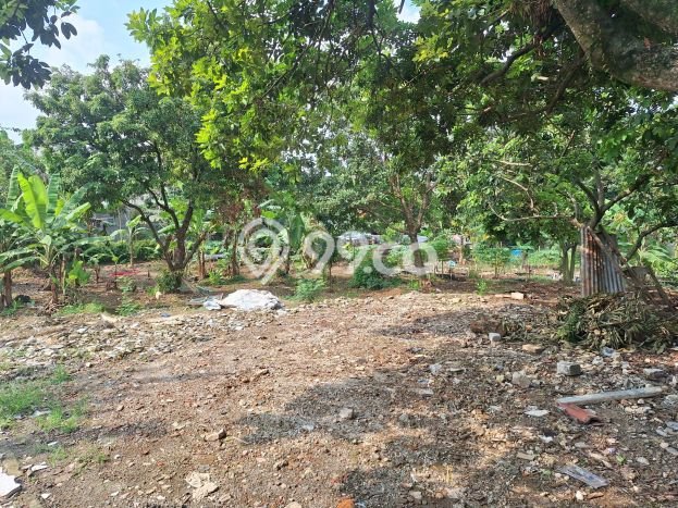 Tanah Siap Bangun Dijual di Depok Punya Luas 2053m2 Tanah Siap Bangun Dijual di Depok Punya Luas 2053m2