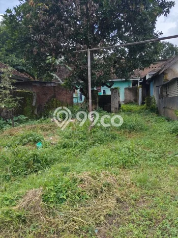 Rumah Minimalis Dijual Lokasi Pandaan 3 Kamar dengan Luas Tanah 240m2 Rumah Minimalis Dijual Lokasi Pandaan 3 Kamar dengan Luas Tanah 240m2