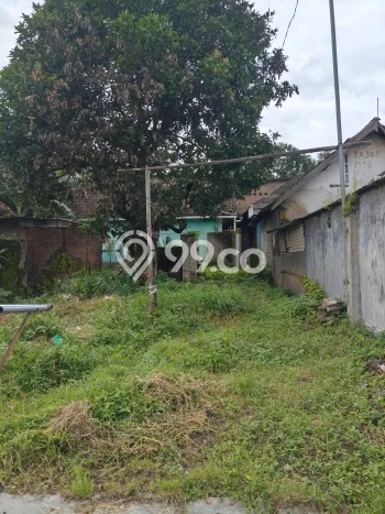 Rumah Minimalis Dijual Lokasi Pandaan 3 Kamar dengan Luas Tanah 240m2 Rumah Minimalis Dijual Lokasi Pandaan 3 Kamar dengan Luas Tanah 240m2