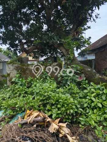 Rumah Minimalis Dijual Lokasi Pandaan 3 Kamar dengan Luas Tanah 240m2 Rumah Minimalis Dijual Lokasi Pandaan 3 Kamar dengan Luas Tanah 240m2
