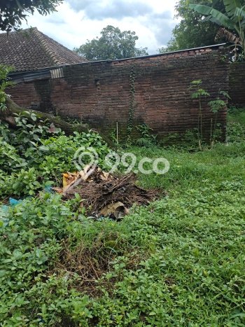 Rumah Minimalis Dijual Lokasi Pandaan 3 Kamar dengan Luas Tanah 240m2 Rumah Minimalis Dijual Lokasi Pandaan 3 Kamar dengan Luas Tanah 240m2