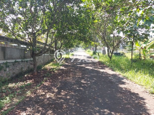Kavling Tanah di Ngamprah Dijual Luas 2736m2 Legalitas SHM Kavling Tanah di Ngamprah Dijual Luas 2736m2 Legalitas SHM
