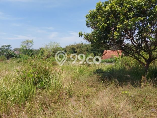Kavling Tanah di Ngamprah Dijual Luas 2736m2 Legalitas SHM Kavling Tanah di Ngamprah Dijual Luas 2736m2 Legalitas SHM