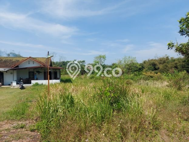Kavling Tanah di Ngamprah Dijual Luas 2736m2 Legalitas SHM Kavling Tanah di Ngamprah Dijual Luas 2736m2 Legalitas SHM