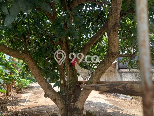 Tanah Kavling Dijual di Bintaro, Jakarta Selatan dengan Luas Tanah 300m2 Tanah Kavling Dijual di Bintaro, Jakarta Selatan dengan Luas Tanah 300m2