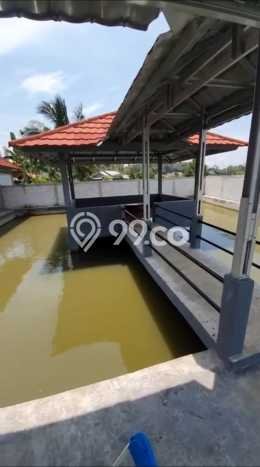 Vila Strategis di Pandeglang, Dimensi 992m2m², Akses ke beragam fasilitas Vila Strategis di Pandeglang, Dimensi 992m2m², Akses ke beragam fasilitas