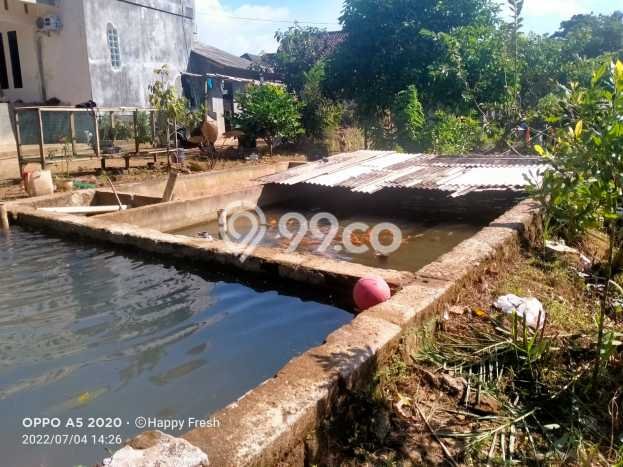 Rumah Asri LB 300m2m² Lokasi Tenang di Pandeglang, Pandeglang Rumah Asri LB 300m2m² Lokasi Tenang di Pandeglang, Pandeglang