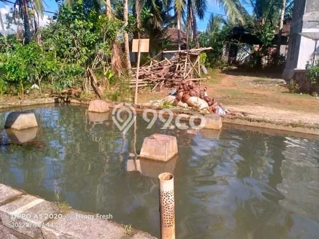 Rumah Asri LB 300m2m² Lokasi Tenang di Pandeglang, Pandeglang Rumah Asri LB 300m2m² Lokasi Tenang di Pandeglang, Pandeglang