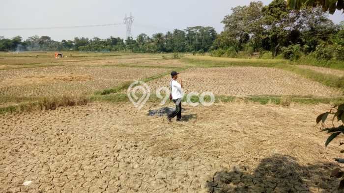 Lahan Dijual Lokasi Pamarayan, Serang dengan Luas Tanah 100000m2 dan Status SHM Lahan Dijual Lokasi Pamarayan, Serang dengan Luas Tanah 100000m2 dan Status SHM