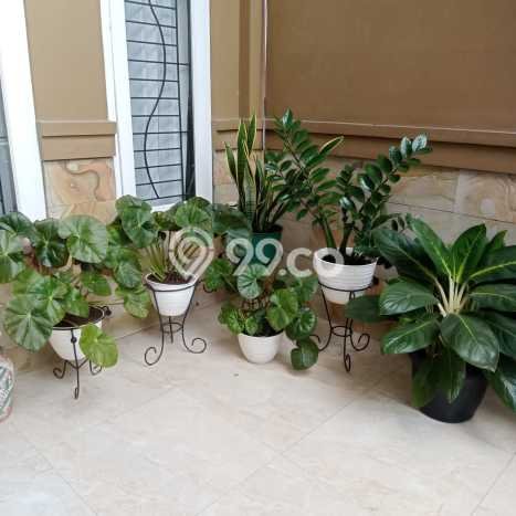 For Sale Hunian Rumah Terawat 4 Kamar di Cilegon Indah, Cilegon For Sale Hunian Rumah Terawat 4 Kamar di Cilegon Indah, Cilegon