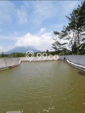 Vila Strategis di Pandeglang, Dimensi 992m2m², Akses ke beragam fasilitas Vila Strategis di Pandeglang, Dimensi 992m2m², Akses ke beragam fasilitas