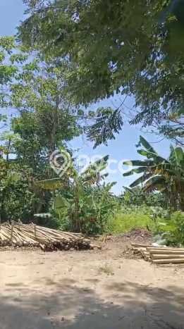 Untuk Dijual Tanah 50314m2 di Pengasinan, Tangerang Untuk Dijual Tanah 50314m2 di Pengasinan, Tangerang