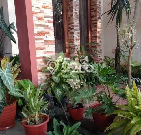 Dijual Rumah Eksklusif 3 KT di Kemang Pratama, Bekasi Dijual Rumah Eksklusif 3 KT di Kemang Pratama, Bekasi