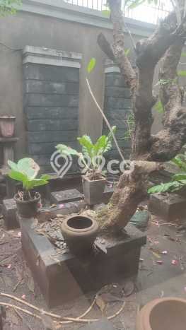 Hunian Mewah LB 250m2 Siap Huni Desain Elegan di Gading Serpong, Tangerang Hunian Mewah LB 250m2 Siap Huni Desain Elegan di Gading Serpong, Tangerang
