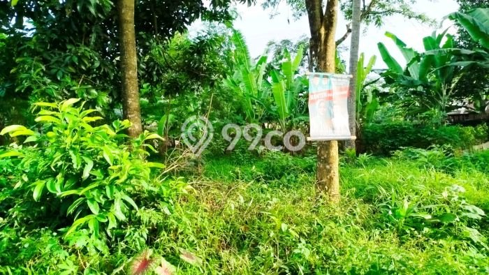 Tanah Kosong Dijual di Tangerang Selatan dengan Area 1500m2 Tanah Kosong Dijual di Tangerang Selatan dengan Area 1500m2
