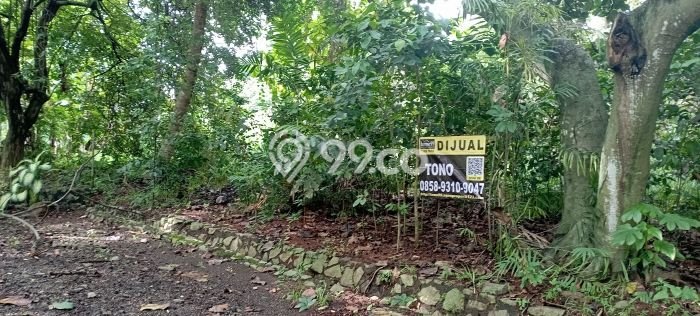 Tanah Dijual Lokasi Ciputat, Tangerang Selatan dengan Luas Tanah 1940m2 dan Status SHM Tanah Dijual Lokasi Ciputat, Tangerang Selatan dengan Luas Tanah 1940m2 dan Status SHM