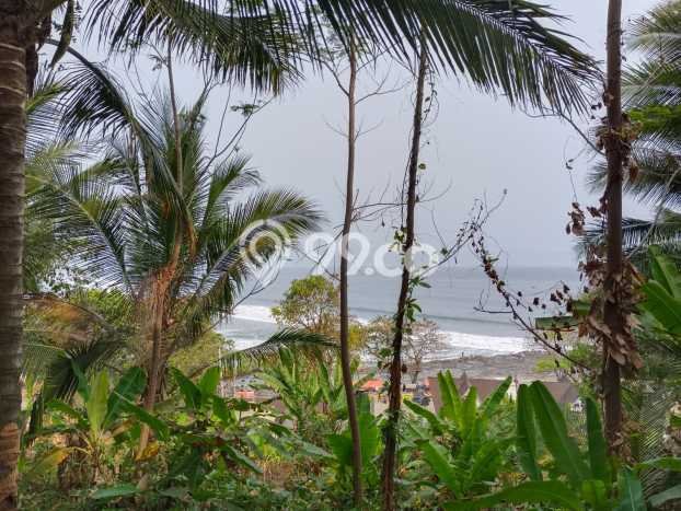 Lahan untuk Dijual Lokasi Cisolok, Sukabumi Luas 18995m2 SHM Lahan untuk Dijual Lokasi Cisolok, Sukabumi Luas 18995m2 SHM
