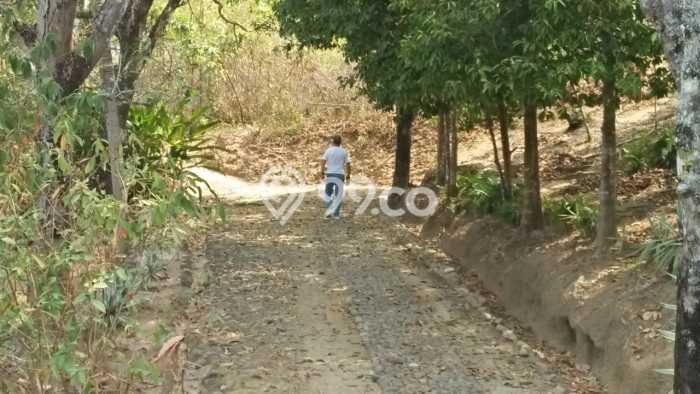 Lahan untuk Dijual Lokasi Cisolok, Sukabumi Luas 18995m2 SHM Lahan untuk Dijual Lokasi Cisolok, Sukabumi Luas 18995m2 SHM