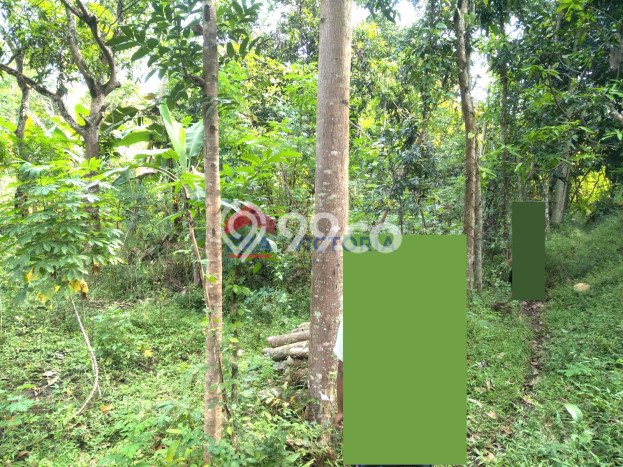 Tanah Kawasan Mojo, Luas 2814m2m², Sertifikat Hak Milik, Akses Mojo, Kediri, Kediri Tanah Kawasan Mojo, Luas 2814m2m², Sertifikat Hak Milik, Akses Mojo, Kediri, Kediri