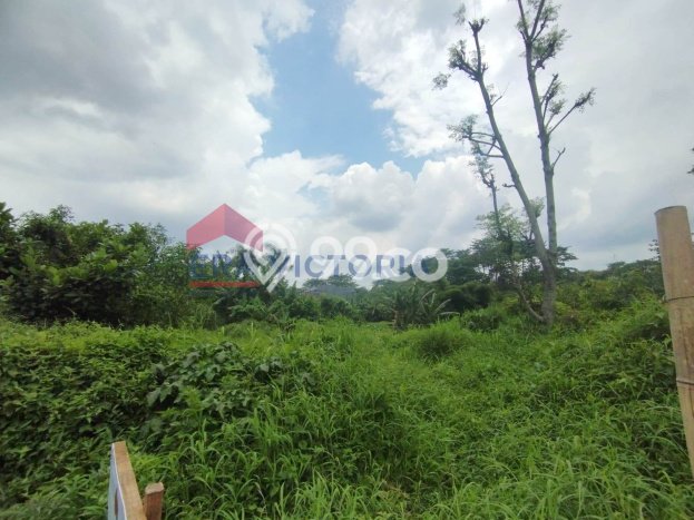 Lahan Investasi Lokasi Lawang Malang SHM Lahan Investasi Lokasi Lawang Malang SHM