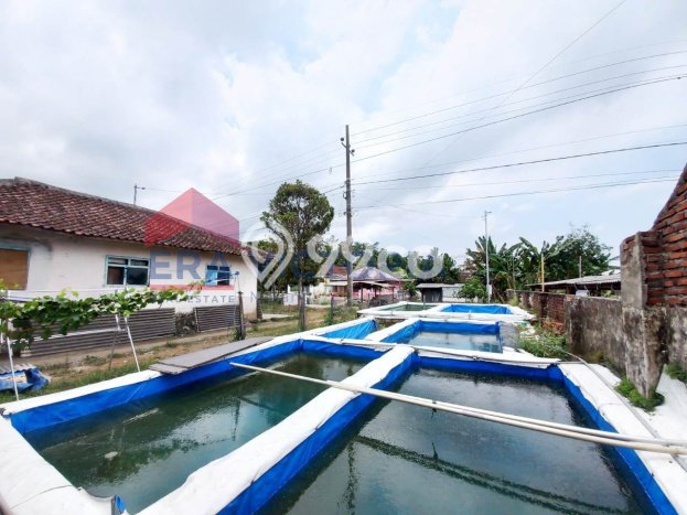 Lahan untuk Dijual di Wonosari Malang Luas 899m2 Lahan untuk Dijual di Wonosari Malang Luas 899m2