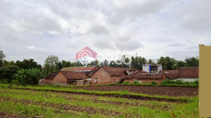 Tanah Lokasi Potensial di Pakis, Luas 1650m2m², Dekat ke Fasilitas, Lingkungan Asri Tanah Lokasi Potensial di Pakis, Luas 1650m2m², Dekat ke Fasilitas, Lingkungan Asri