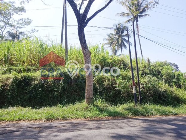 Kavling Tanah Dijual di Wonosari Malang Spesifikasi 6373m2 Kavling Tanah Dijual di Wonosari Malang Spesifikasi 6373m2