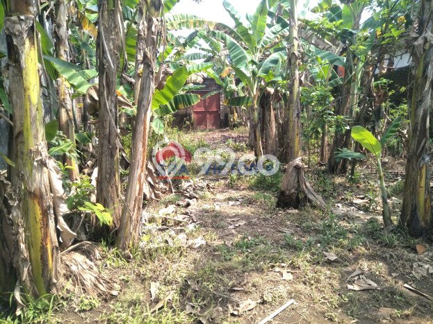 Kesempatan Investasi 4 Kamar Tidur dan 3 Kamar Mandi di Lokasi Strategis Tanjunganom, Nganjuk Kesempatan Investasi 4 Kamar Tidur dan 3 Kamar Mandi di Lokasi Strategis Tanjunganom, Nganjuk