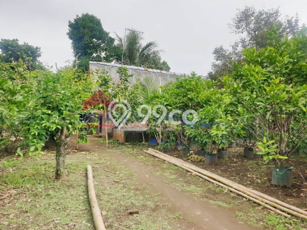 LOKASI STRATEGIS! Ruko Kawasan Kepanjen, Luas 252m2m², Area Komersial, Mainroad LOKASI STRATEGIS! Ruko Kawasan Kepanjen, Luas 252m2m², Area Komersial, Mainroad