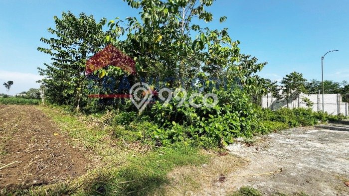Tanah Lokasi Strategis Kawasan Pakis, Luas 186m2m², Akses ke Fasilitas Umum, Dekat Pakis, Malang, Malang Tanah Lokasi Strategis Kawasan Pakis, Luas 186m2m², Akses ke Fasilitas Umum, Dekat Pakis, Malang, Malang