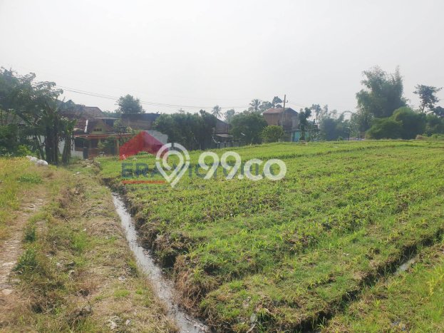Tanah Kawasan Wagir, Luas 9368m2m², Akses Wagir, Malang, Malang Tanah Kawasan Wagir, Luas 9368m2m², Akses Wagir, Malang, Malang