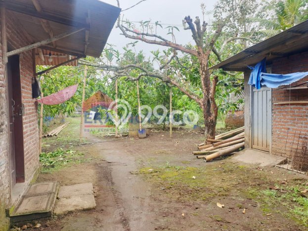 LOKASI STRATEGIS! Ruko Kawasan Kepanjen, Luas 252m2m², Area Komersial, Mainroad LOKASI STRATEGIS! Ruko Kawasan Kepanjen, Luas 252m2m², Area Komersial, Mainroad
