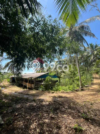 Tanah Kawasan Bantur, Luas 14355m2m², Area Potensial, Lingkungan Asri Tanah Kawasan Bantur, Luas 14355m2m², Area Potensial, Lingkungan Asri